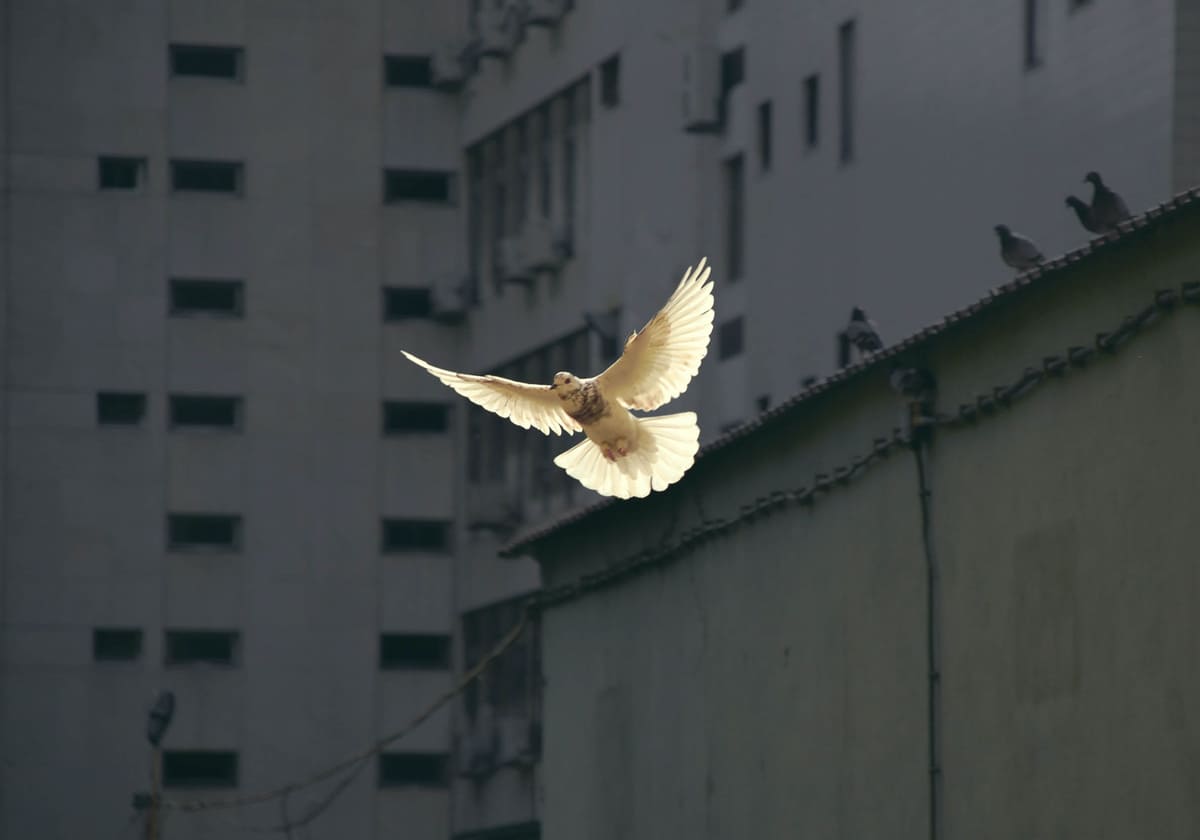 Фото: Sunguk Kim / Unsplash