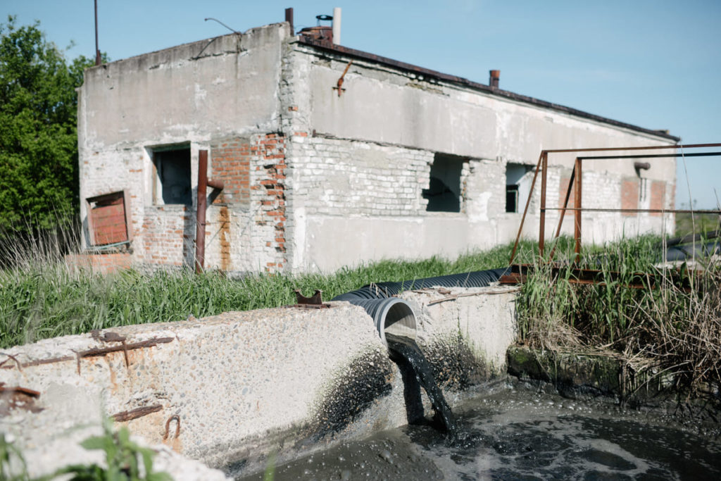 Фото: Алина Десятниченко для НВ