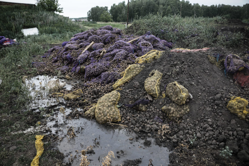 Фото: Никита Цицаги для НВ